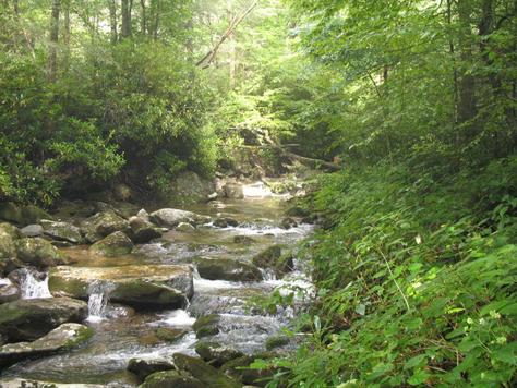 Теннеси. Национальный парк Smoky Mountain